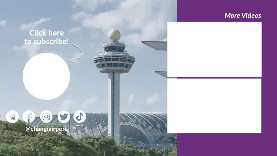 Frame 8 from Changi Airport Group: Magic
