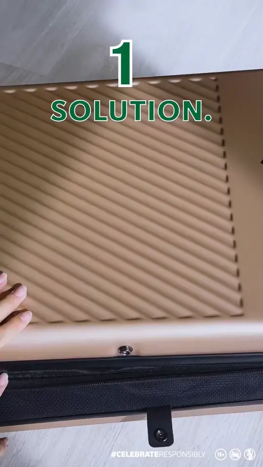 Frame 3 from Carlsberg: Golden Luggage
