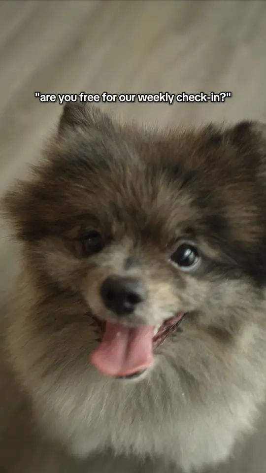 Frame 1 from Manulife: Pawrents Day