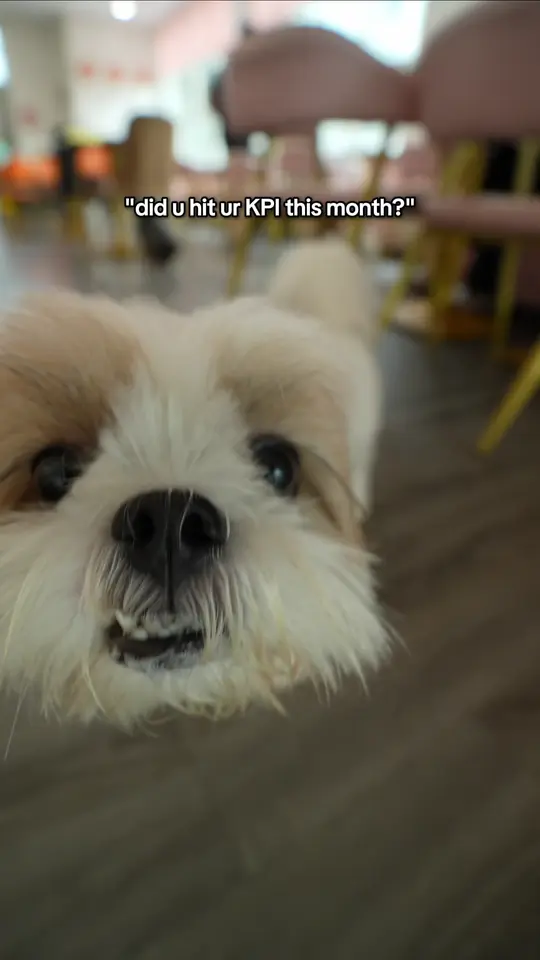 Frame 2 from Manulife: Pawrents Day