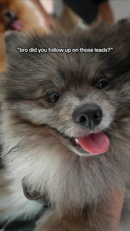 Frame 3 from Manulife: Pawrents Day
