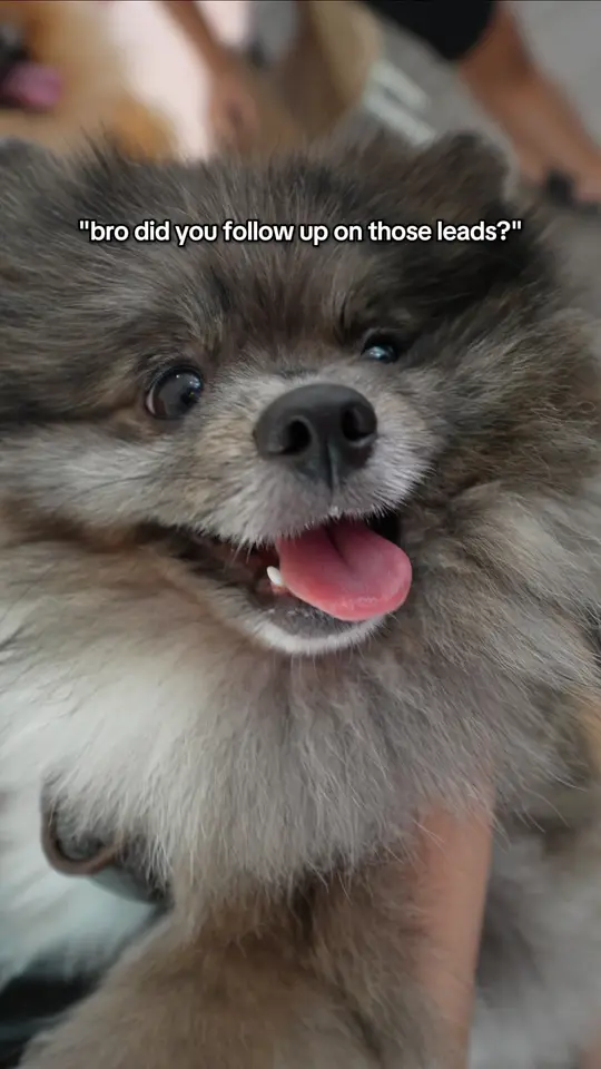 Frame 4 from Manulife: Pawrents Day