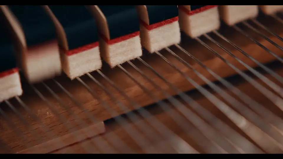Frame 6 from NAFA: The Promise