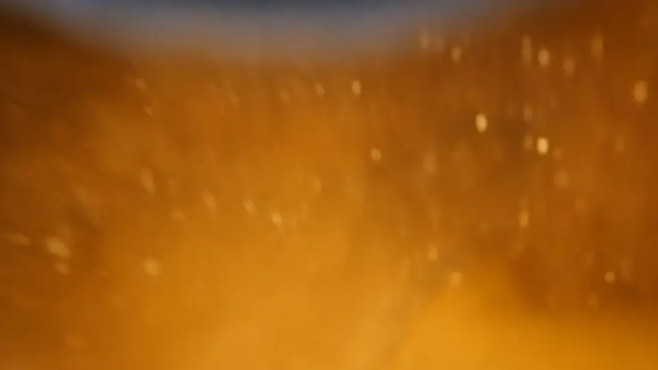Frame 6 from Self-initiated: Ronsdale Beer